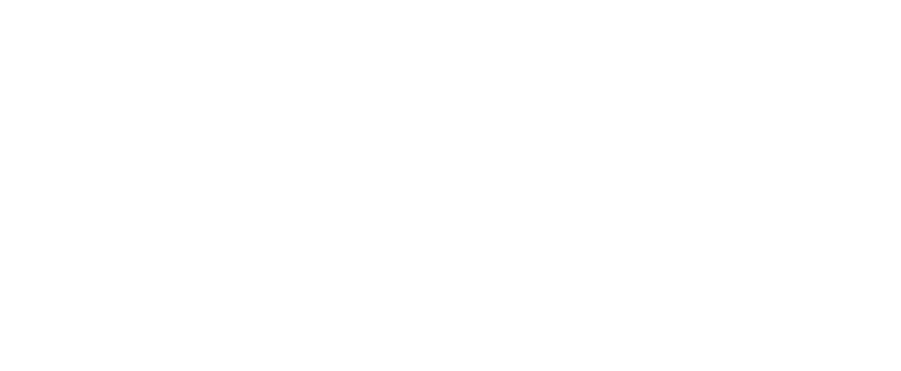 Vanish Logo